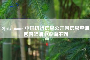 衡阳中国执行信息公开网信息查询官网限消中查询不到