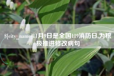 衡阳11月9日是全国119消防日,为积极推进修改病句