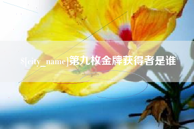 衡阳第九枚金牌获得者是谁