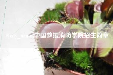 衡阳中国救援消防学院招生简章