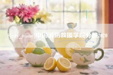 衡阳中国消防救援学院分数2020
