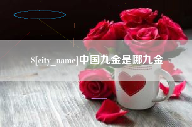 衡阳中国九金是哪九金