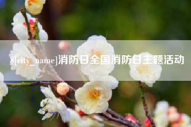 衡阳消防日全国消防日主题活动