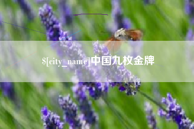 衡阳中国九枚金牌