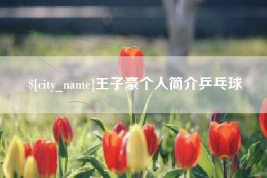 衡阳王子豪个人简介乒乓球