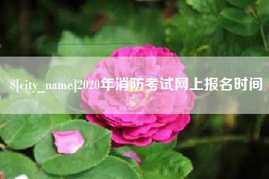衡阳2020年消防考试网上报名时间