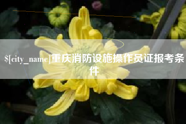 衡阳重庆消防设施操作员证报考条件