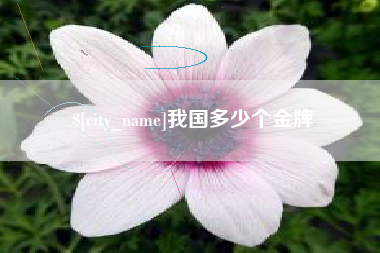 衡阳我国多少个金牌