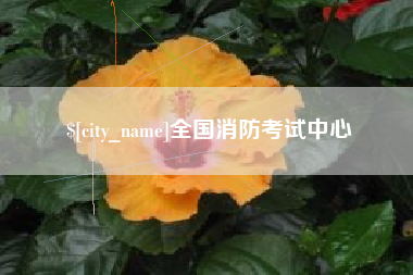 衡阳全国消防考试中心