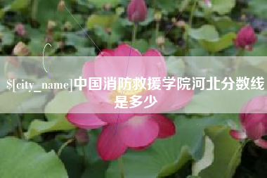 衡阳中国消防救援学院河北分数线是多少