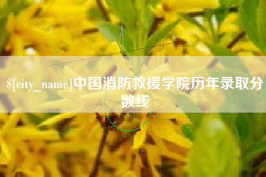 衡阳中国消防救援学院历年录取分数线