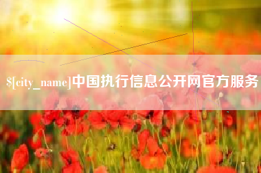 衡阳中国执行信息公开网官方服务
