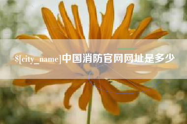 衡阳中国消防官网网址是多少