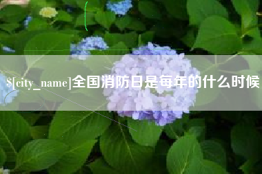 衡阳全国消防日是每年的什么时候