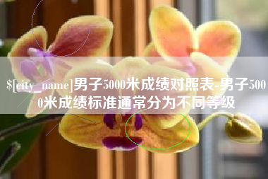 衡阳男子5000米成绩对照表-男子5000米成绩标准通常分为不同等级