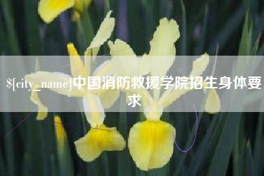 衡阳中国消防救援学院招生身体要求