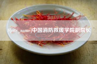 衡阳中国消防救援学院副院长