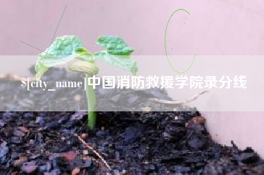 衡阳中国消防救援学院录分线