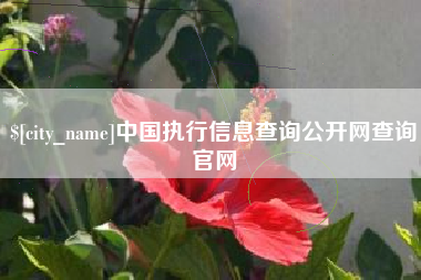 衡阳中国执行信息查询公开网查询官网
