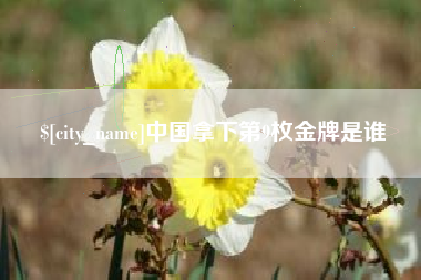 衡阳中国拿下第9枚金牌是谁