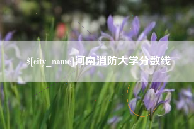 衡阳河南消防大学分数线