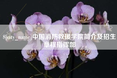 衡阳中国消防救援学院简介及招生章程指挥部
