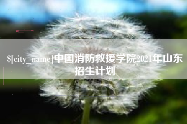 衡阳中国消防救援学院2021年山东招生计划