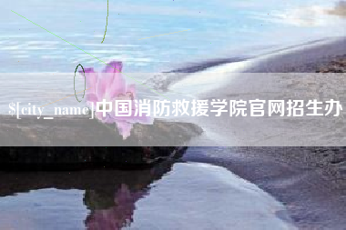 衡阳中国消防救援学院官网招生办