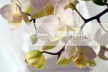 衡阳中国金牌估计