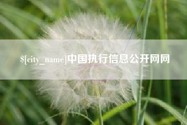 衡阳中国执行信息公开网网