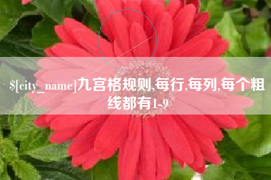 衡阳九宫格规则,每行,每列,每个粗线都有1-9