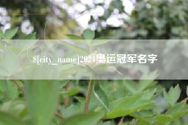 衡阳2024奥运冠军名字