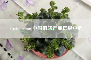 衡阳中国消防产品信息中心