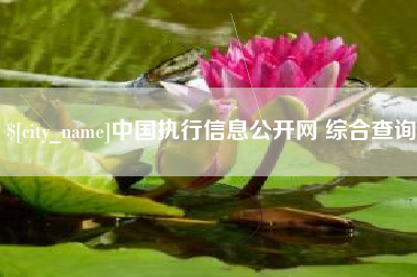 衡阳中国执行信息公开网 综合查询