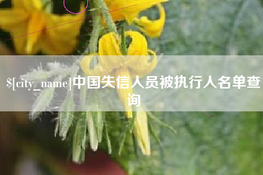 衡阳中国失信人员被执行人名单查询