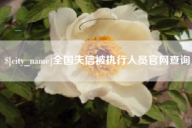 衡阳全国失信被执行人员官网查询