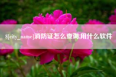 衡阳消防证怎么查询,用什么软件