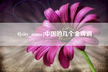 衡阳中国的几个金牌啊