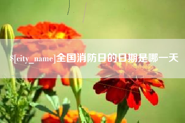 衡阳全国消防日的日期是哪一天
