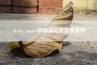 衡阳中国消防救援教育网