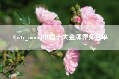 衡阳中国十大金牌律师名单