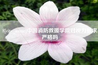 衡阳中国消防救援学院对视力要求严格吗