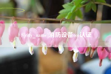衡阳消防设备ccc认证