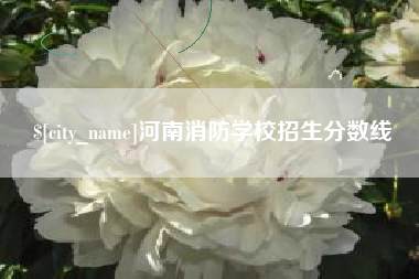 衡阳河南消防学校招生分数线