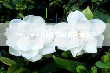 衡阳现在中国金牌是多少