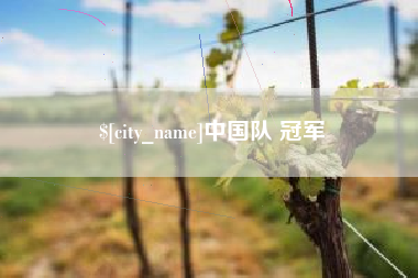 衡阳中国队 冠军