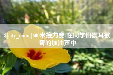 衡阳600米接力赛-在同学们震耳欲聋的加油声中