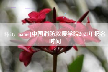 衡阳中国消防救援学院2021年报名时间
