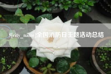 衡阳全国消防日主题活动总结