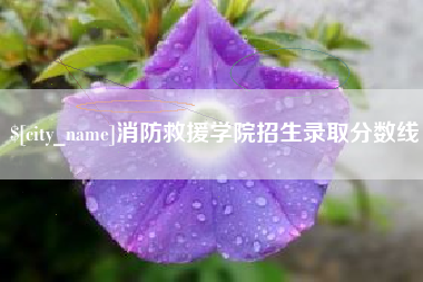 衡阳消防救援学院招生录取分数线